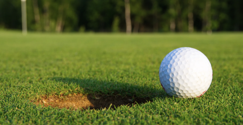Mastering Pest Control on the Green: A Guide for Golf Courses